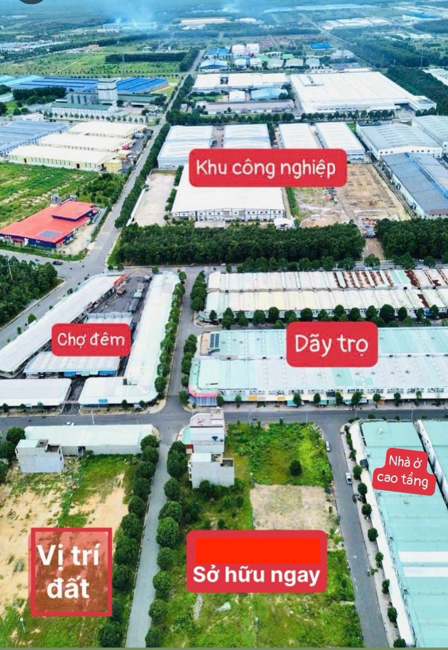 hình ảnh tin tức