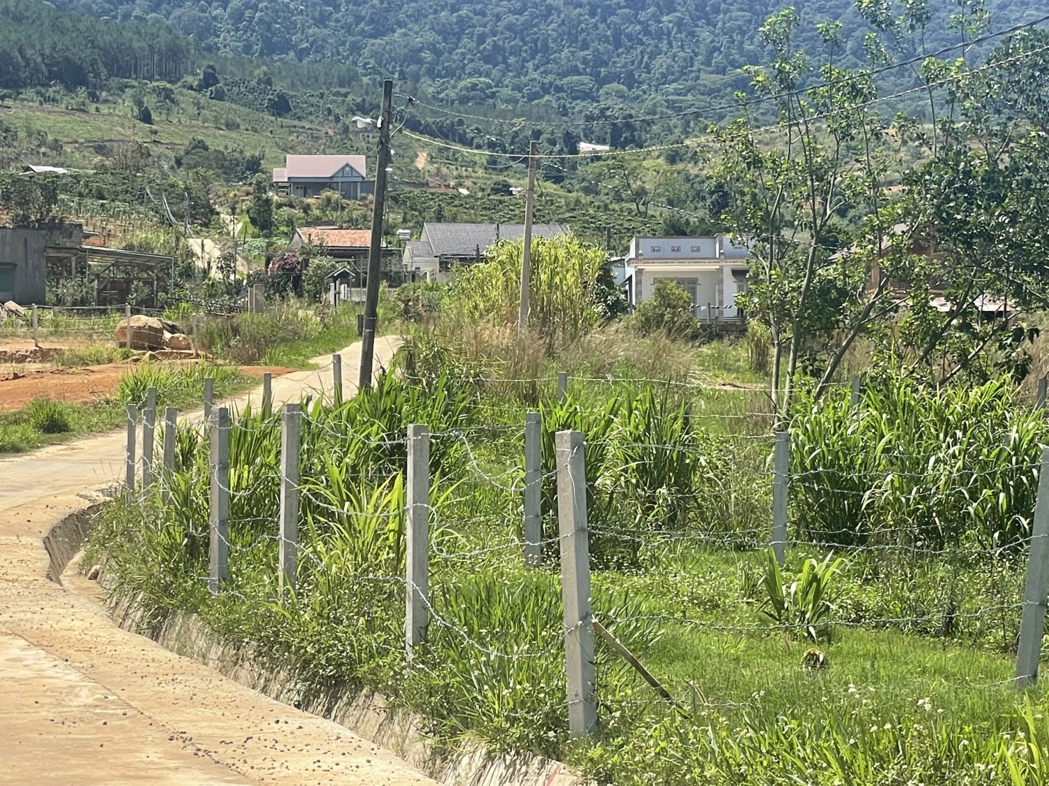 Bán đất Lâm Đồng Đà Lạt chỉ 890 triệu, sát hồ Tuyền Lâm