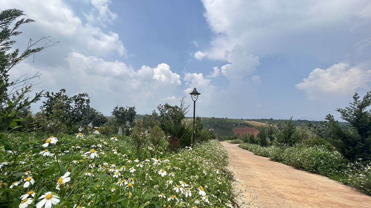 Bán đất Đà Lạt sẵn căn homestay tâm huyết tại Lâm Hà, view cực chất
