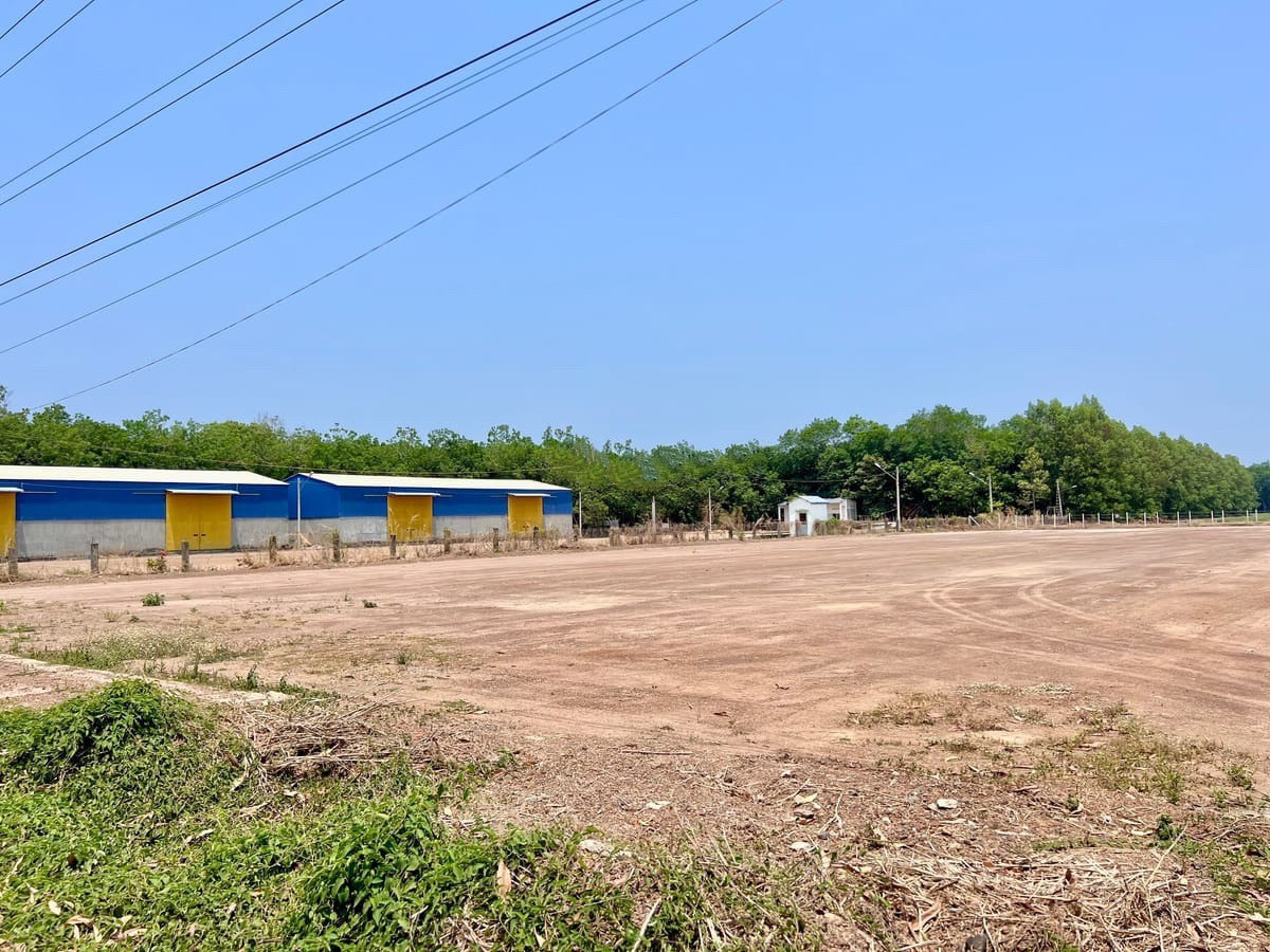 Bán đất chính chủ bán lỗ 50% giá chỉ 250 triệu