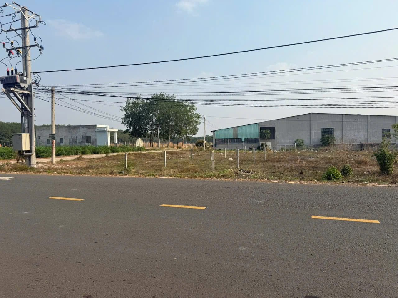 hình ảnh tin tức