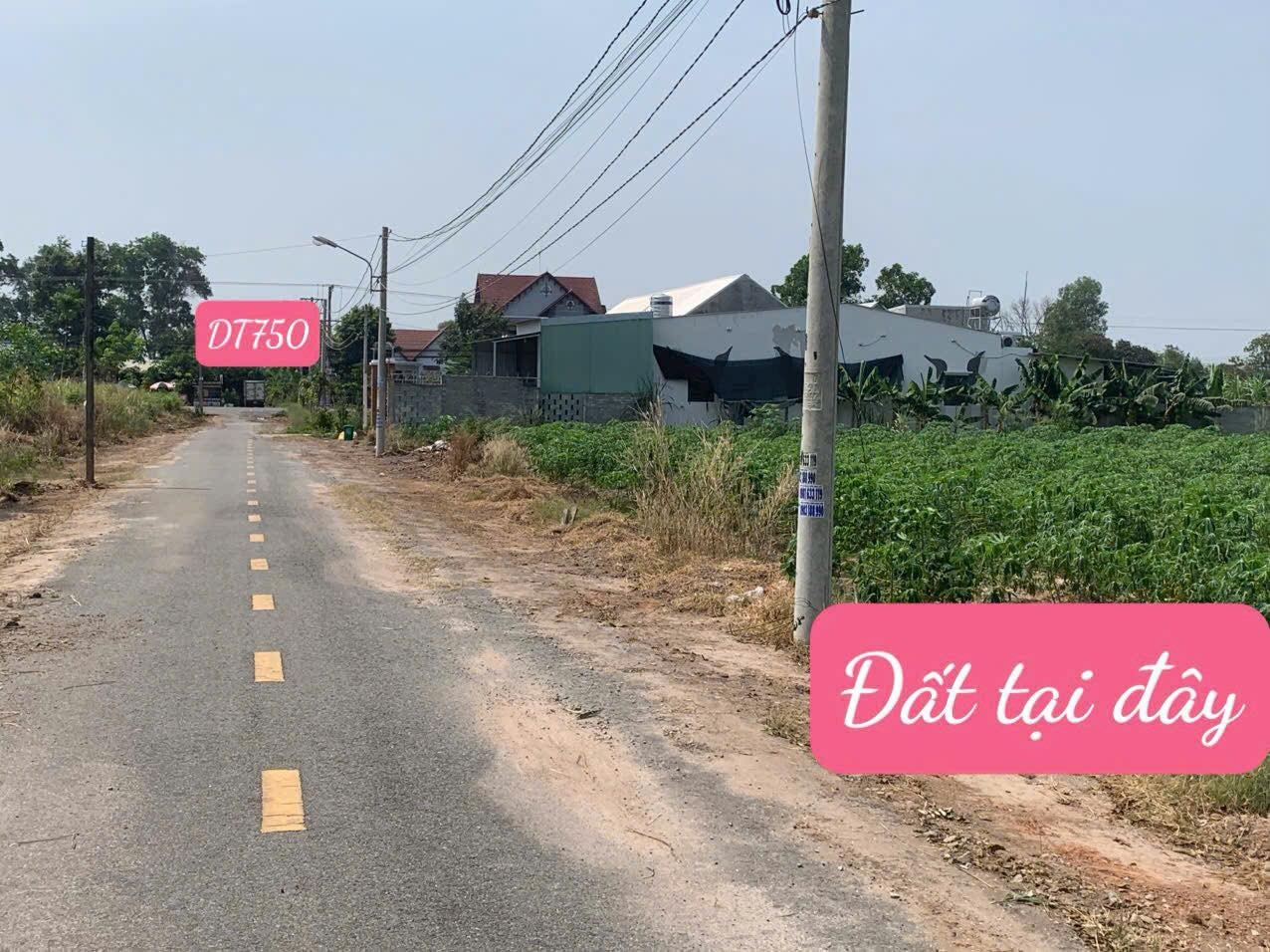 hình ảnh tin tức