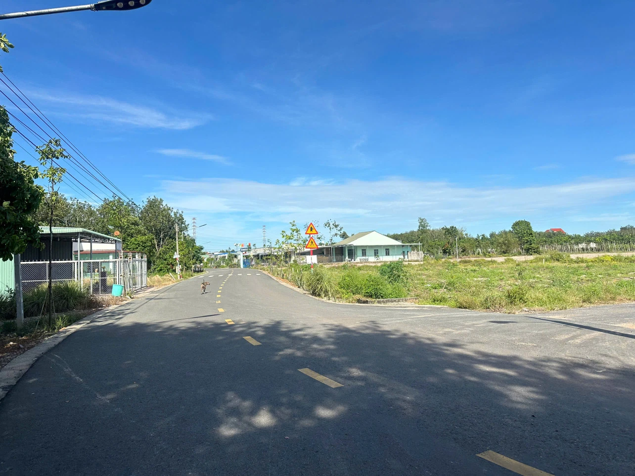 hình ảnh tin tức