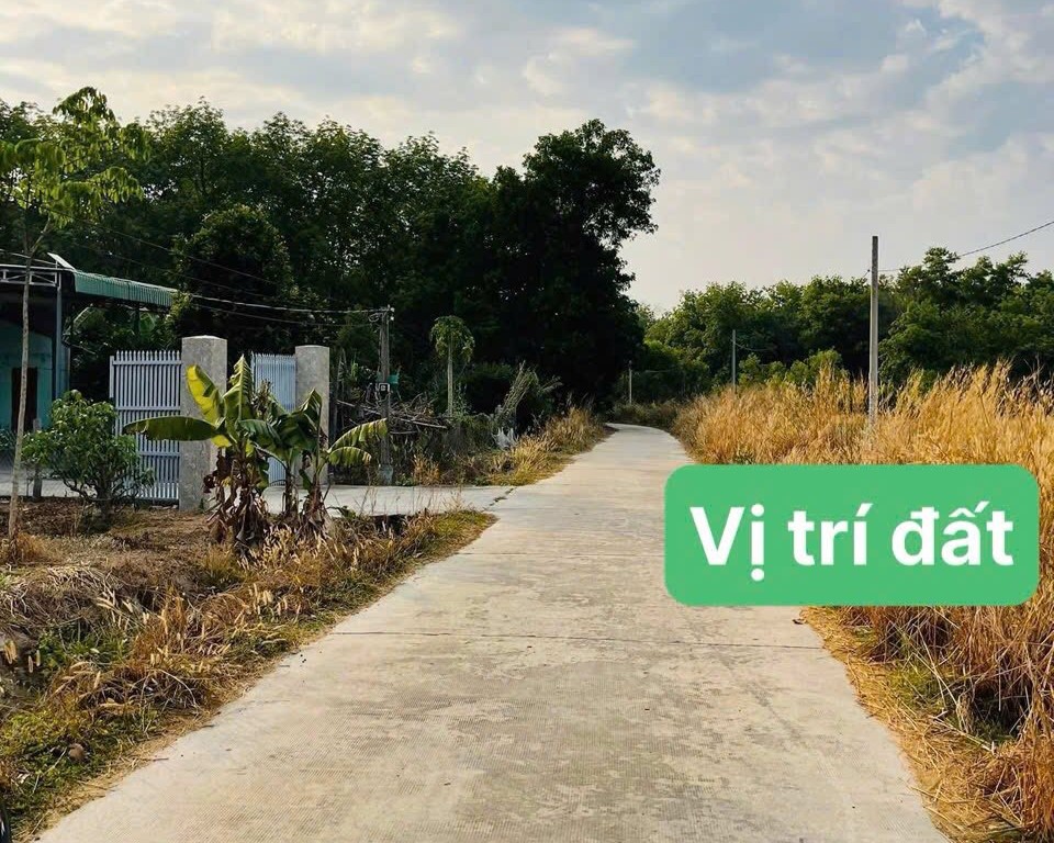 hình ảnh tin tức