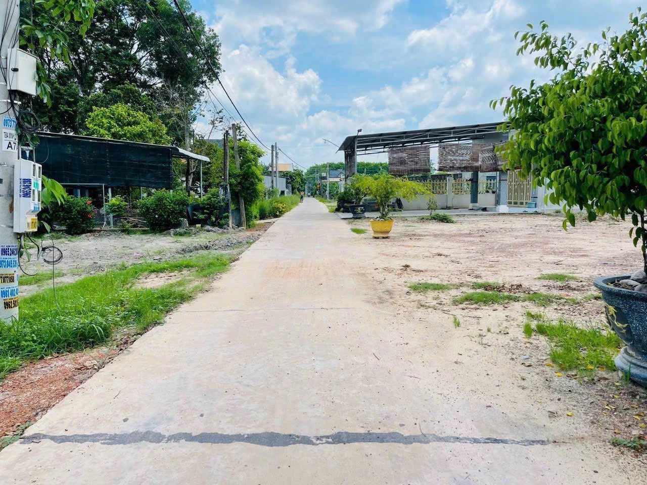 hình ảnh tin tức